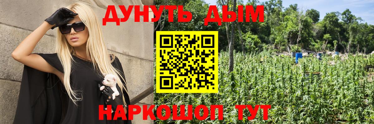 Долгопрудный  Марихуана индика  Шишки марихуана сатива  Вход с VPN  Каннабис сатива 